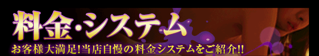 料金システム