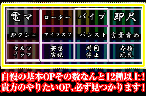電マ、ローター、バイブ、即尺、アイマスク、パンスト、ことばぜめ、セルフイラマ、妄想実現、時間停止、各種玩具