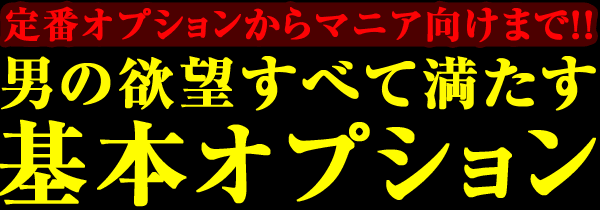 男の欲望を全て満たす基本オプション